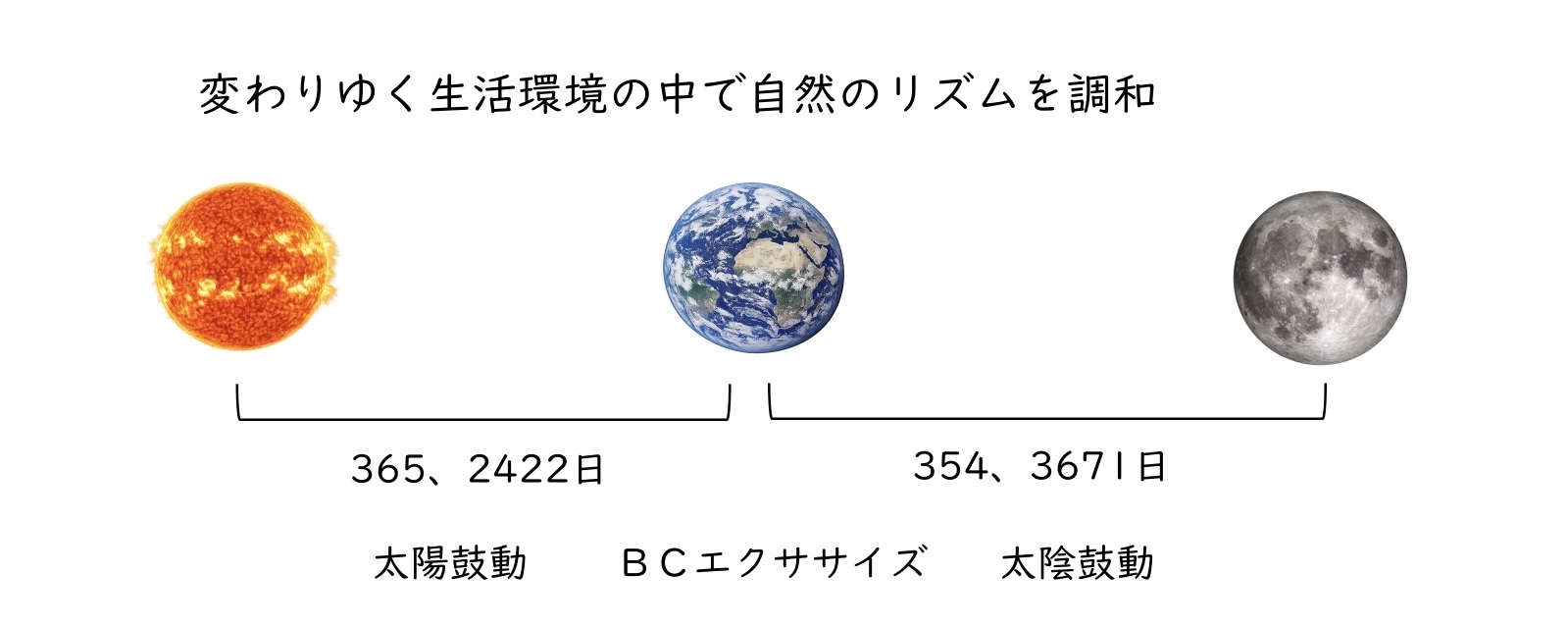陰陽論 — 宇宙のあらゆる物事を陰と陽に分類する考え方