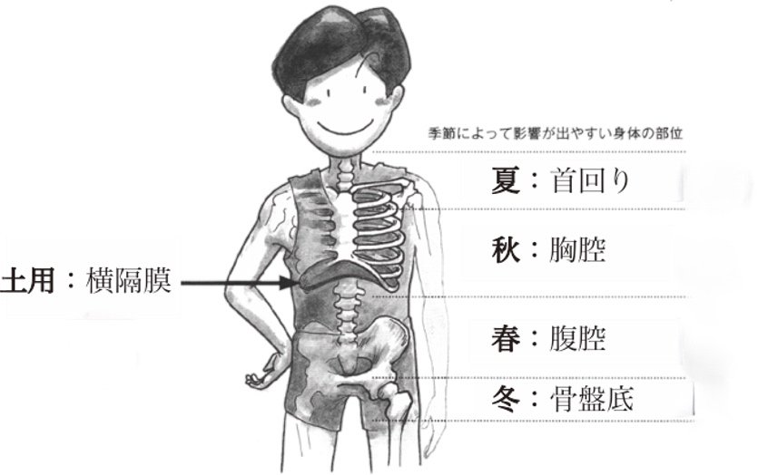 私たちの身体は自然とつながっている