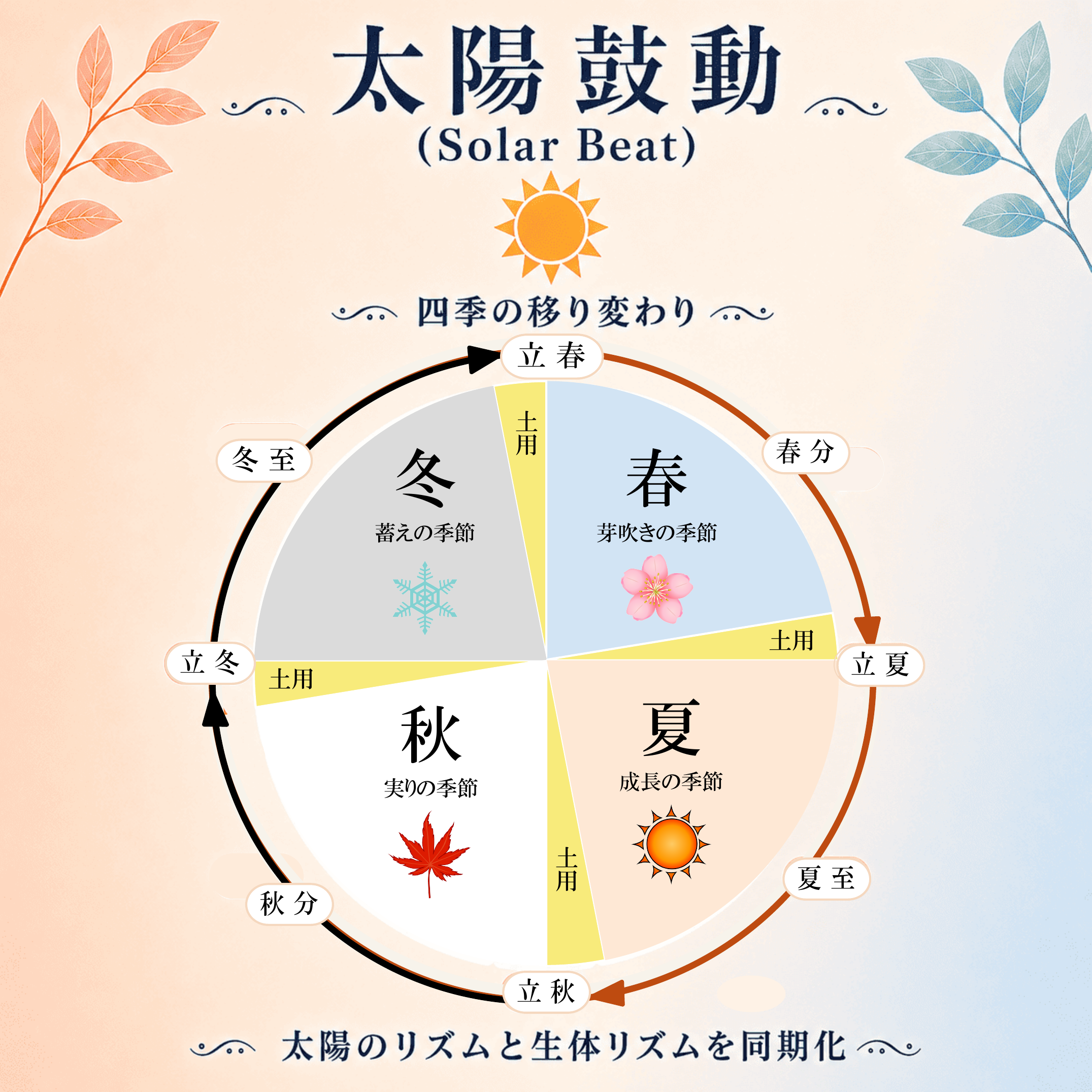 太陽鼓動 Solar beat 四季のサイクル
